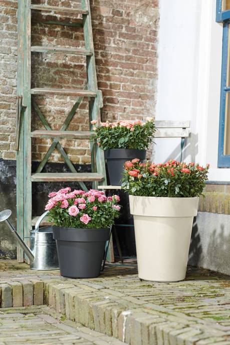 green basics top planter high 35cm cotton white